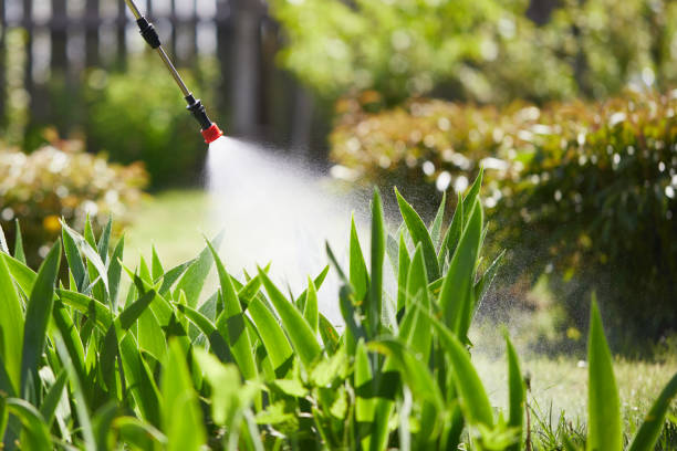 24/7 Emergency Mosquito Control experts in North Lindenhurst, NY